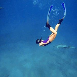 Meet your Posher, Grace